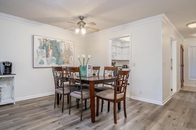 dining space featuring a ceiling fan, ornamental molding, a textured ceiling, and light wood finished floors