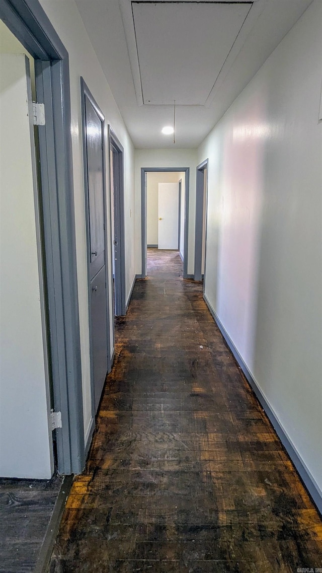 hallway with attic access and wood-type flooring