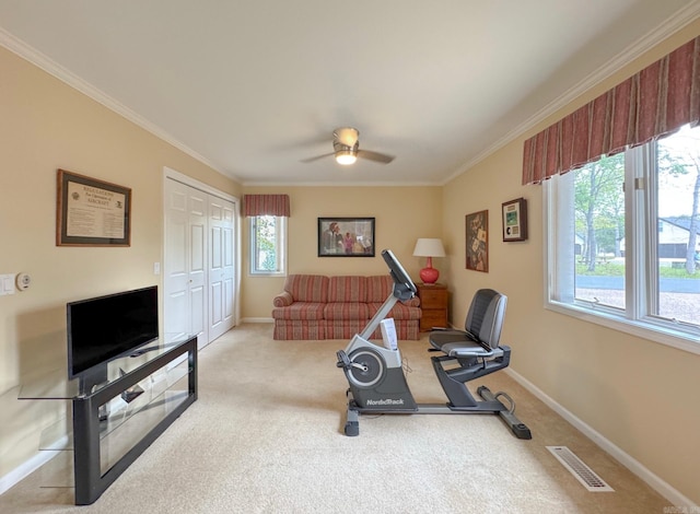 workout area with carpet flooring, baseboards, visible vents, ceiling fan, and crown molding