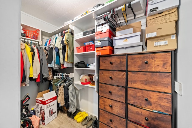 walk in closet featuring wood finished floors