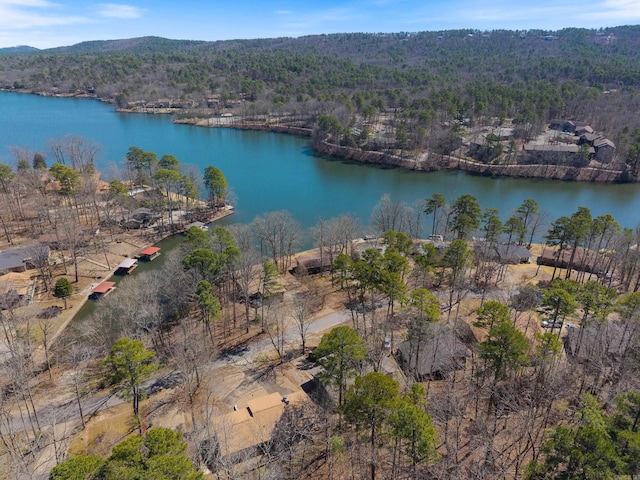 aerial view featuring a forest view and a water view