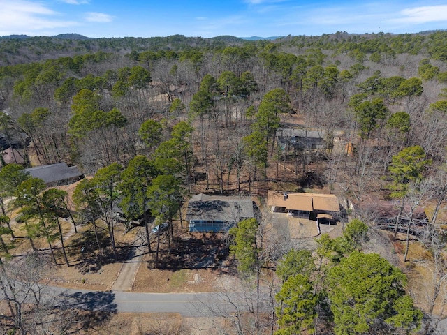aerial view with a forest view