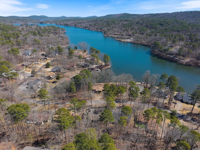 birds eye view of property featuring a water and mountain view and a forest view