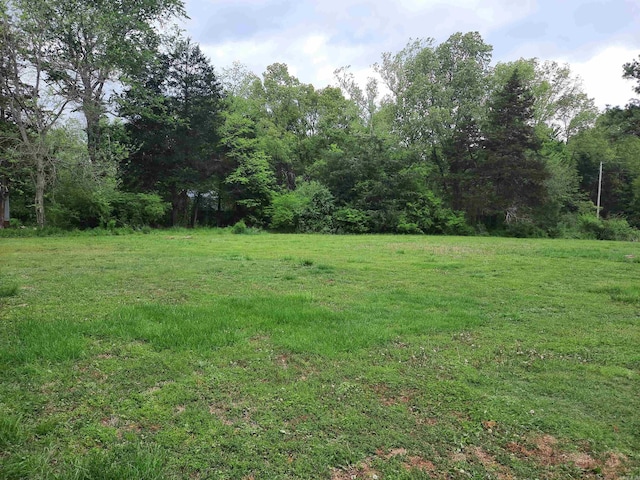 view of yard with a forest view