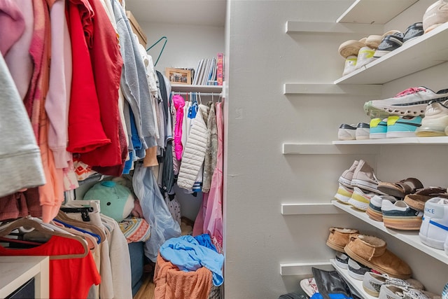 view of spacious closet