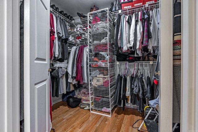 walk in closet featuring wood finished floors