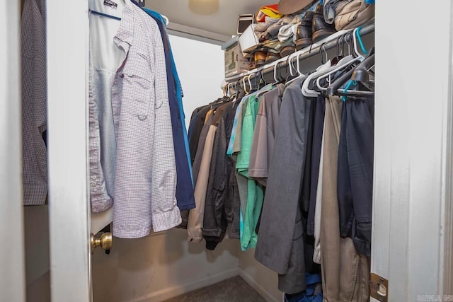spacious closet with carpet floors