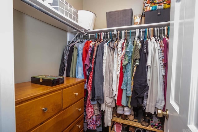 view of walk in closet