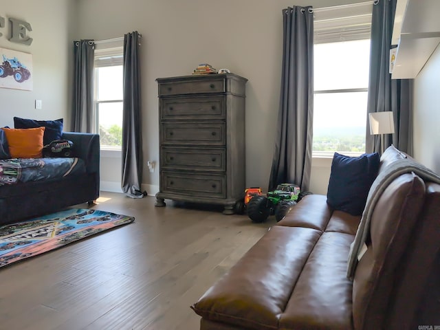 157 Manitou Dr, Maumelle, AR 72113 - living room featuring wood finished floors, a wealth of natural light, and baseboards