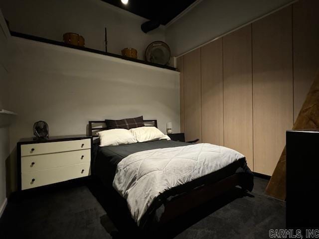 107 N Marr St, Pocahontas, AR 72455 - bedroom with dark colored carpet