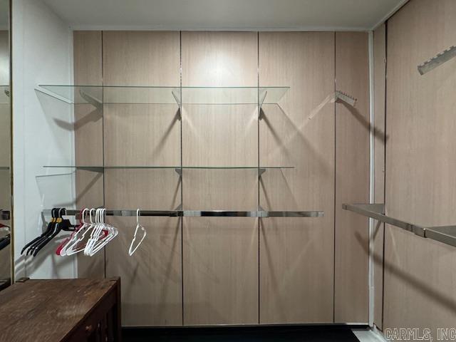 107 N Marr St, Pocahontas, AR 72455 - view of spacious closet