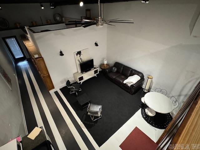 107 N Marr St, Pocahontas, AR 72455 - workout room with a ceiling fan