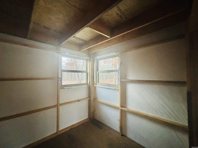 view of basement