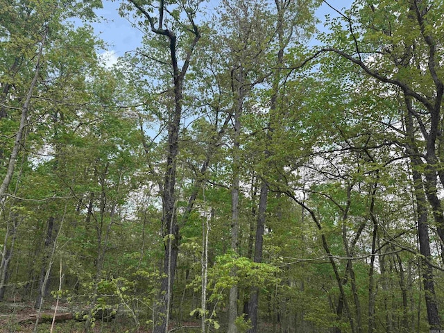 view of landscape with a forest view