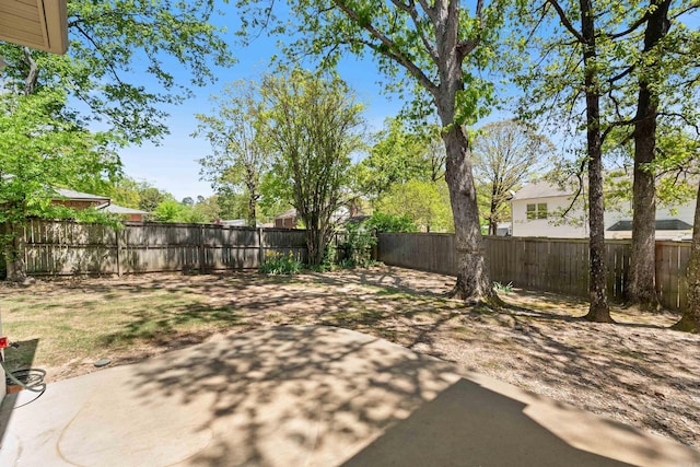 view of yard with a fenced backyard and a patio