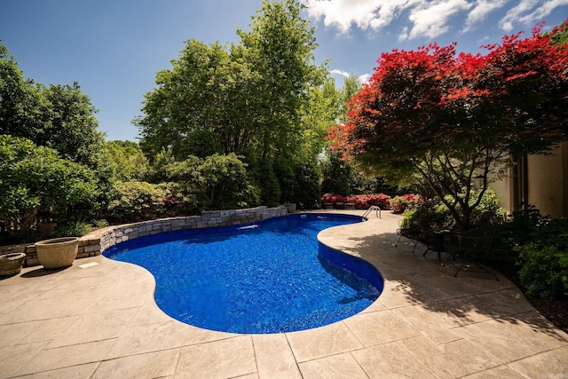 890 Heritage Point Dr, Conway, AR 72034 - pool with a patio