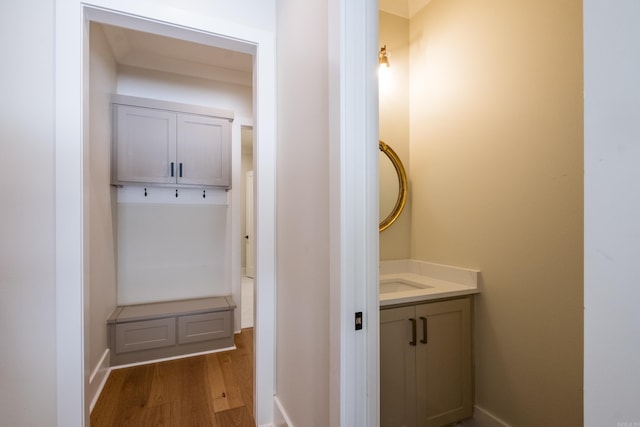 219 Abington Cir, Little Rock, AR 72223 - bathroom with vanity, baseboards, and wood finished floors