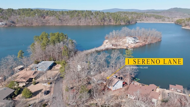 bird's eye view featuring a wooded view and a water and mountain view