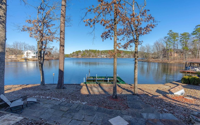 dock area with a water view