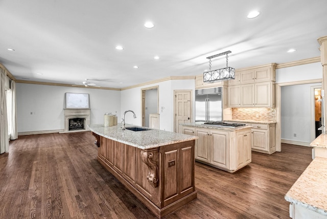 kitchen with a ceiling fan, stainless steel appliances, a kitchen island with sink, and a sink