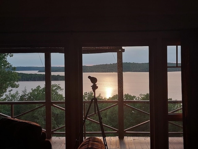entryway with a wealth of natural light, hardwood / wood-style flooring, and a water view