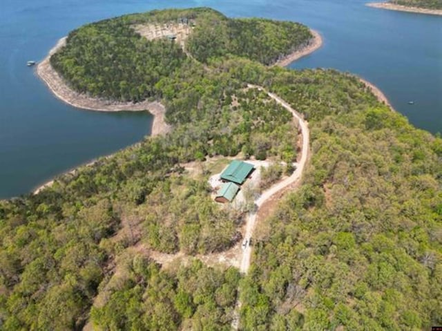 bird's eye view with a water view and a wooded view