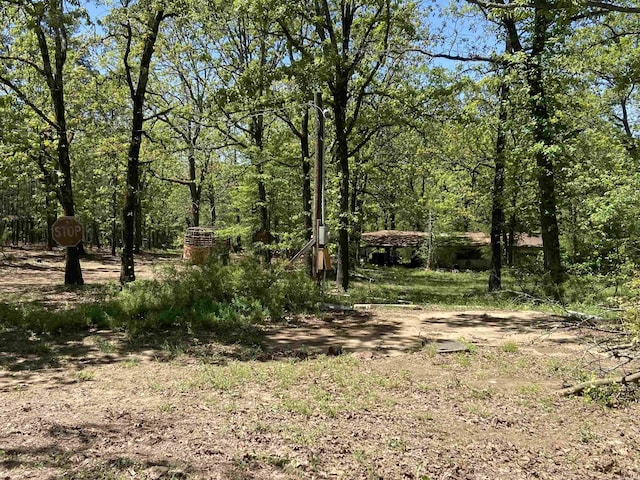 view of local wilderness