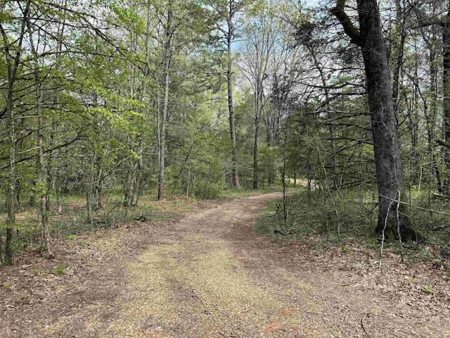 view of road featuring a wooded view