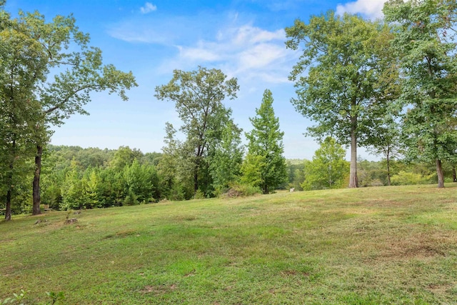view of local wilderness with a forest view