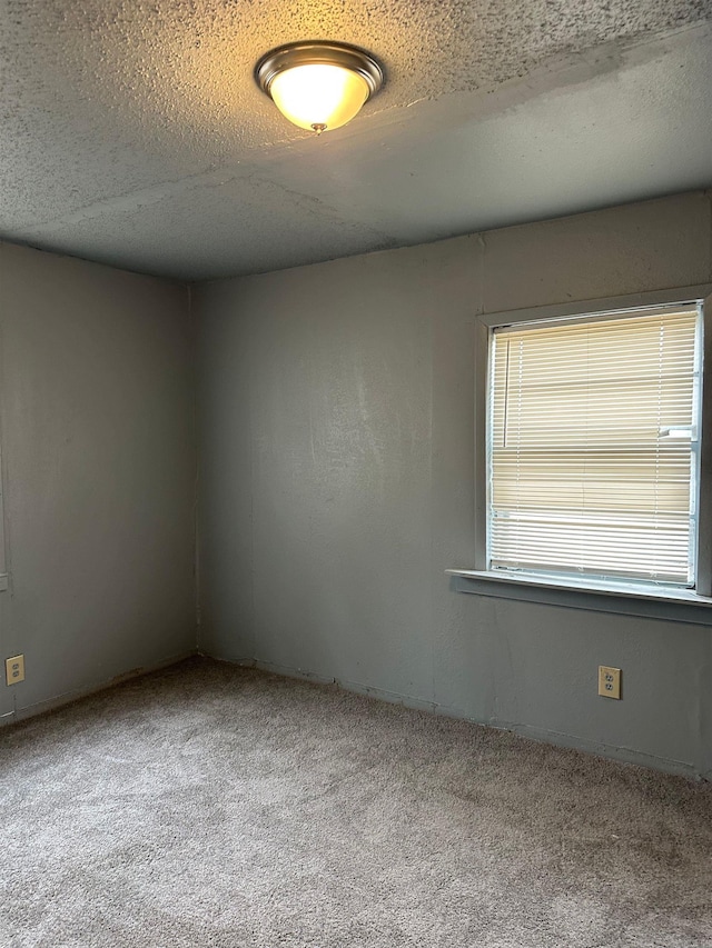 empty room featuring carpet and a textured ceiling