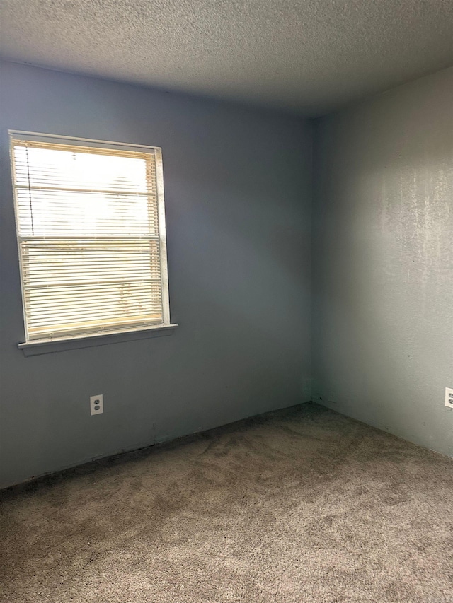 empty room with carpet flooring, a wealth of natural light, and a textured ceiling