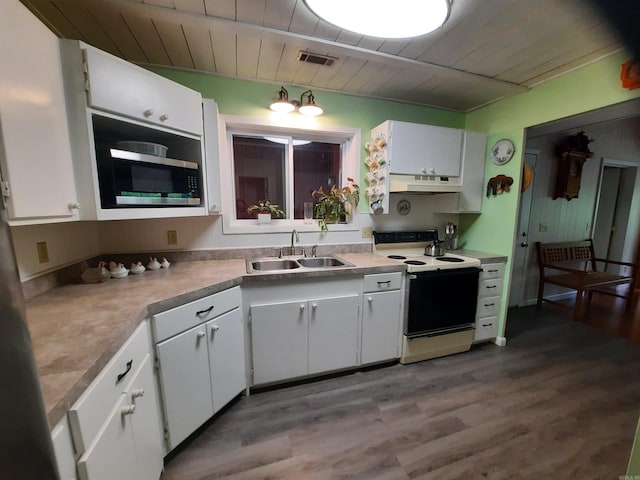 3986 Oak Grove Loop, Mountain View, AR 72560 - kitchen with white cabinets, range with electric stovetop, under cabinet range hood, visible vents, and a sink