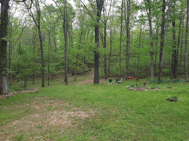 3986 Oak Grove Loop, Mountain View, AR 72560 - view of yard with a forest view