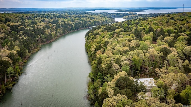 93 Pocahontas Ln, Greers Ferry, AR 72067 - aerial view with a water view and a wooded view