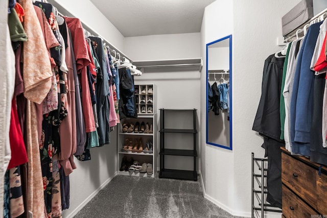 spacious closet featuring carpet