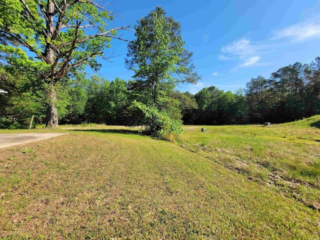 view of yard featuring a wooded view