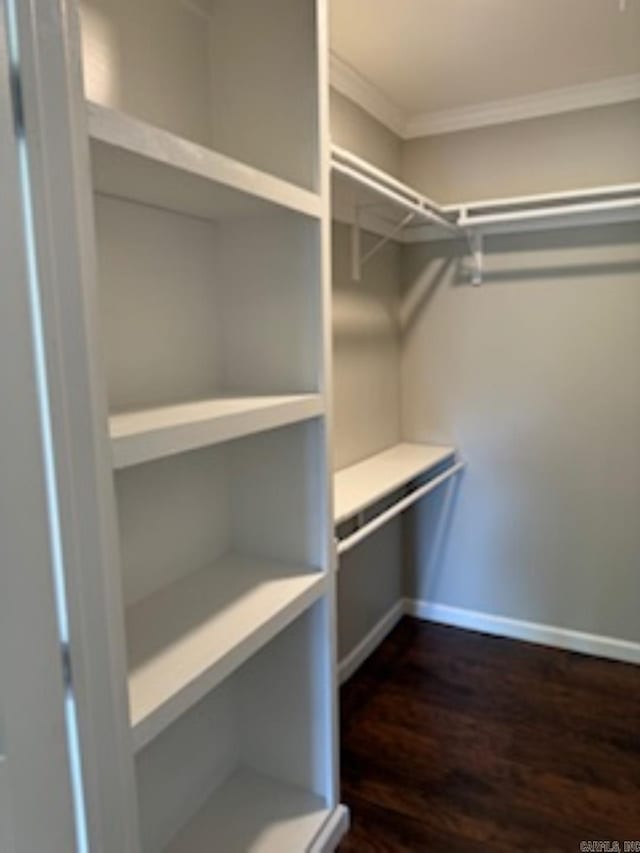 walk in closet with dark wood-type flooring