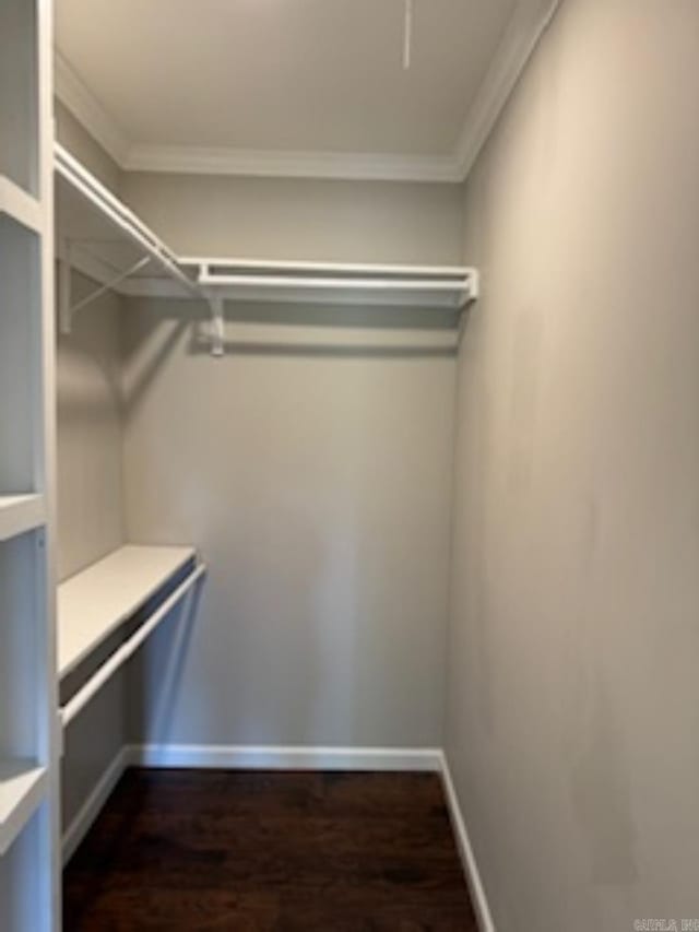 spacious closet with wood finished floors
