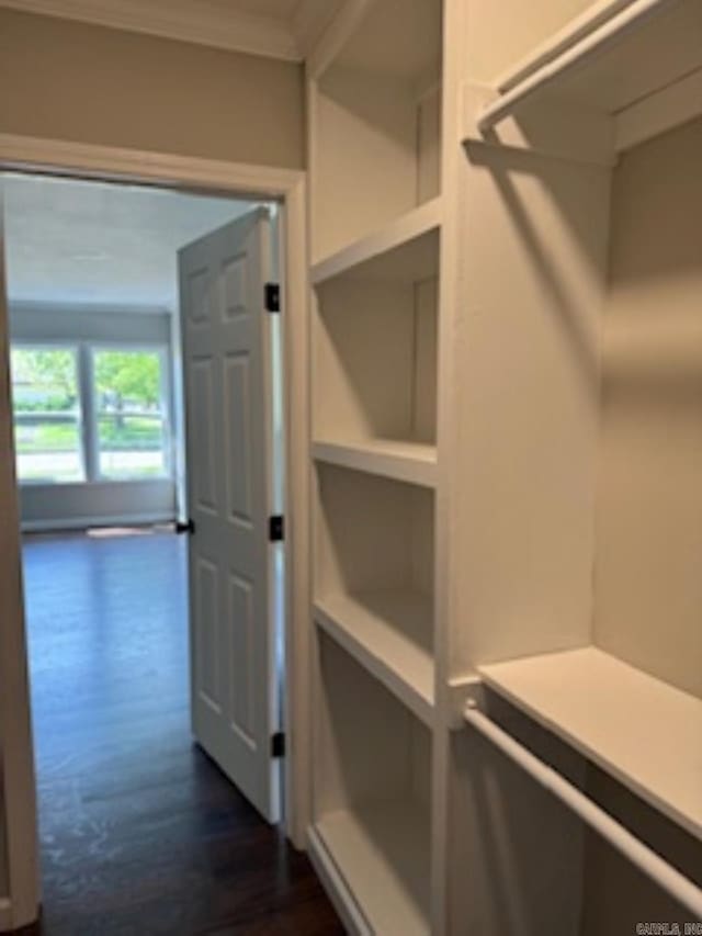 walk in closet with dark wood-style flooring