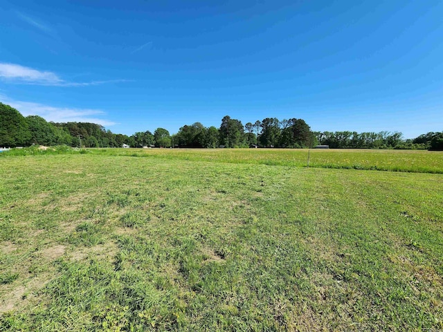 290 Walker St, Higginson, AR 72068 - view of yard with a rural view