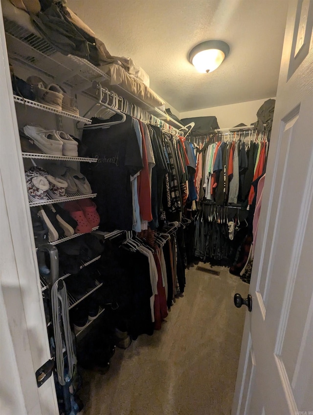 20 Pure Country Rd, Greers Ferry, AR 72067 - walk in closet featuring carpet