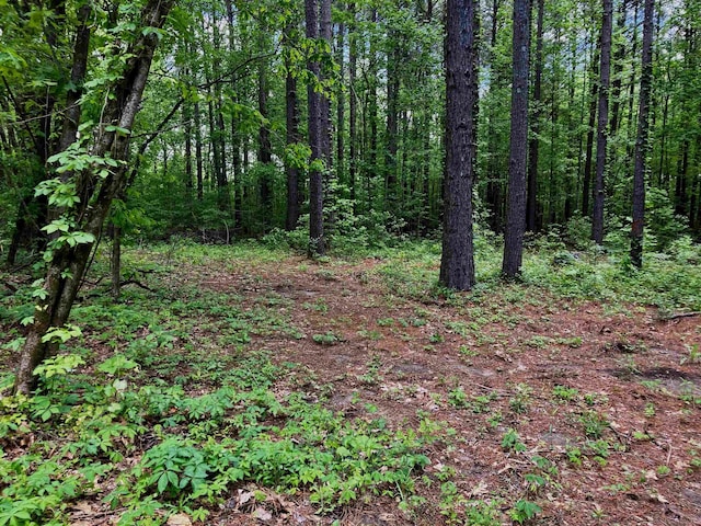 12 Bay Ln, Harrisburg, AR 72432