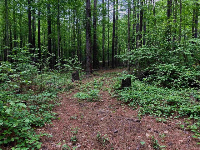12 Bay Ln, Harrisburg, AR 72432