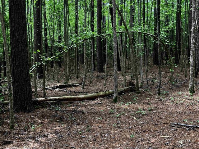 12 Bay Ln, Harrisburg, AR 72432