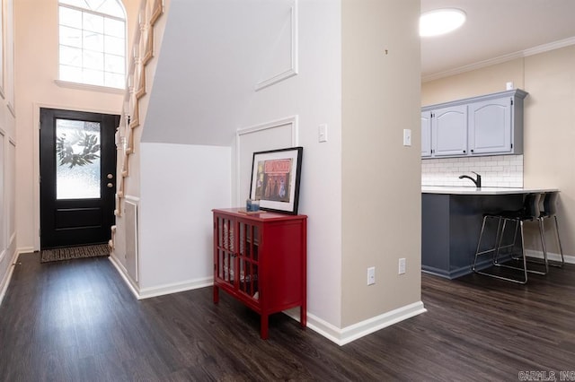 foyer featuring dark wood-type flooring, a healthy amount of sunlight, and baseboards