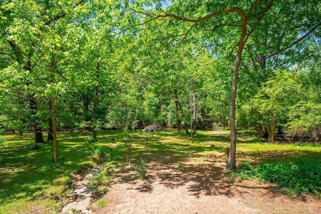 1020 Pine Valley Rd, Little Rock, AR 72207 - exterior space featuring a view of trees
