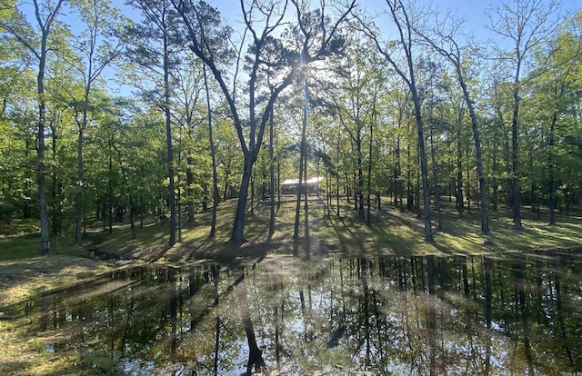 59 Easy St, Mount Ida, AR 71957 - view of local wilderness