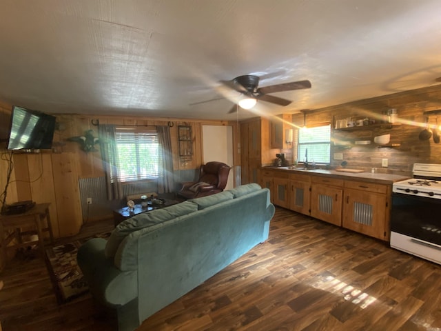 59 Easy St, Mount Ida, AR 71957 - living area with wood walls, dark wood-style floors, and ceiling fan