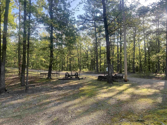 59 Easy St, Mount Ida, AR 71957 - view of yard featuring a forest view