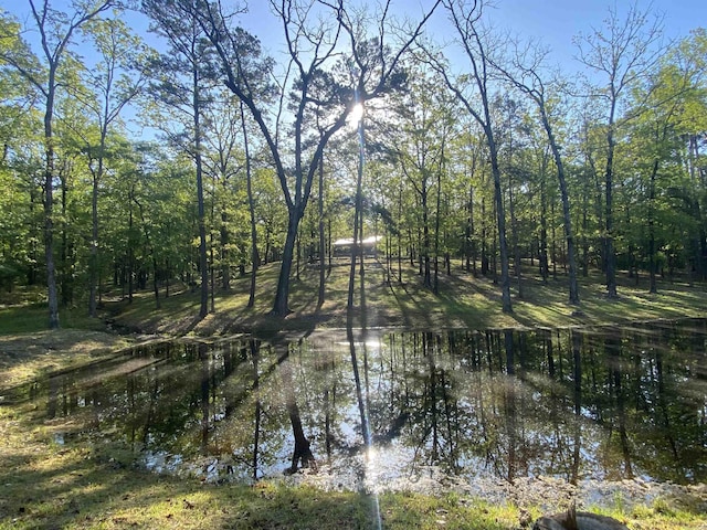 59 Easy St, Mount Ida, AR 71957 - view of landscape